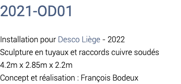 2021-OD01 Installation pour Desco Liège - 2022 Sculpture en tuyaux et raccords cuivre soudés 4.2m x 2.85m x 2.2m Concept et réalisation : François Bodeux
